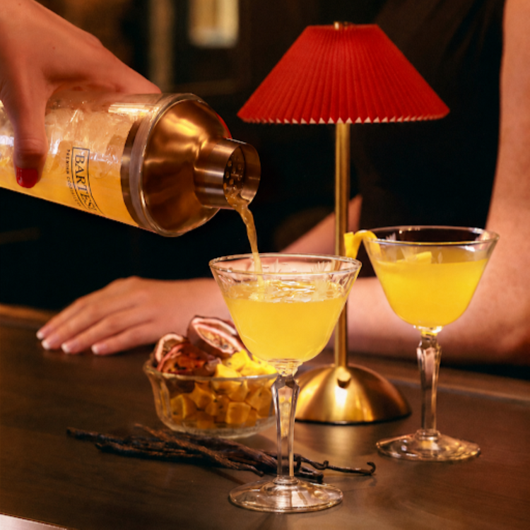Craft Cocktail Shaker